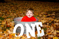 family20120008