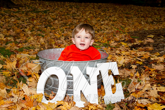 family20120008