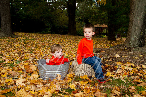 family20120022
