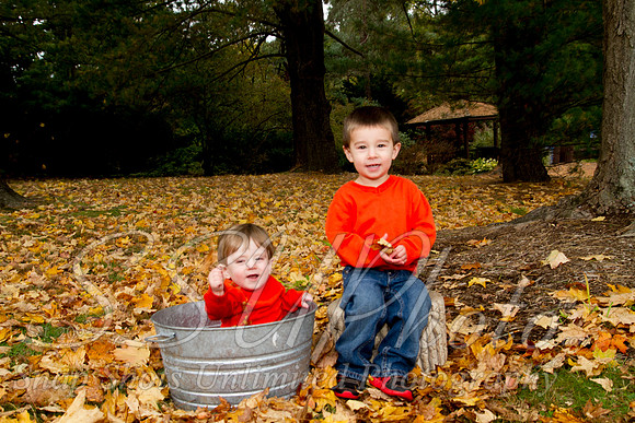 family20120017