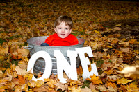 family20120009