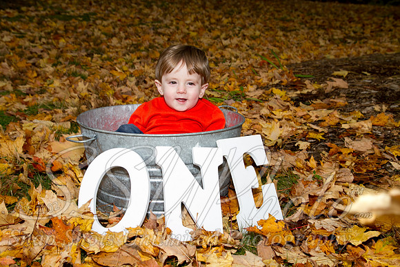 family20120009