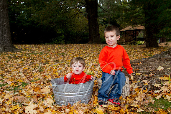 family20120016