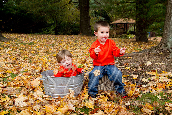 family20120019