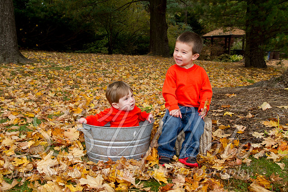 family20120013