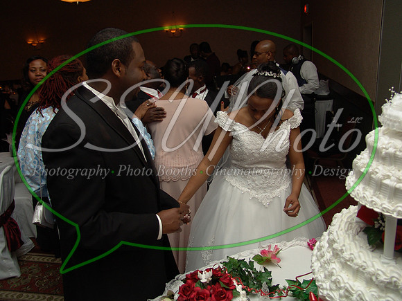 reception (380)