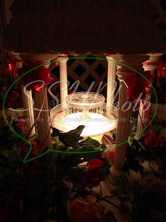 reception (309)