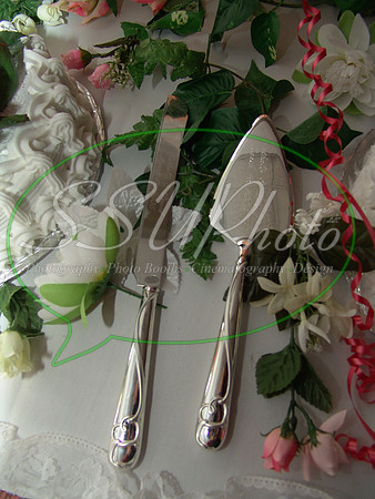 reception (329)