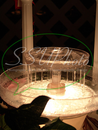 reception (310)