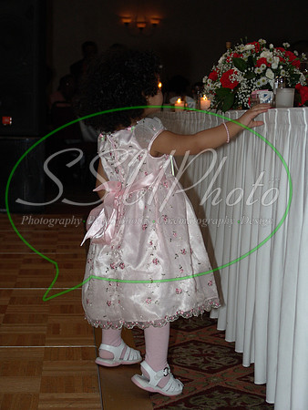 reception (265)