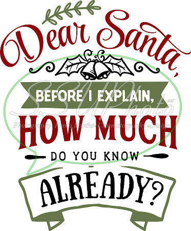 Dear Santa before I explain