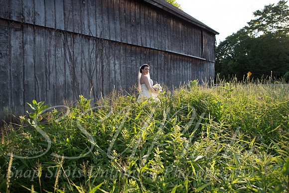 00978FOR