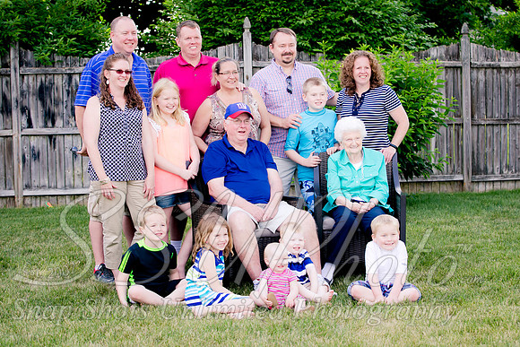 0294family2015