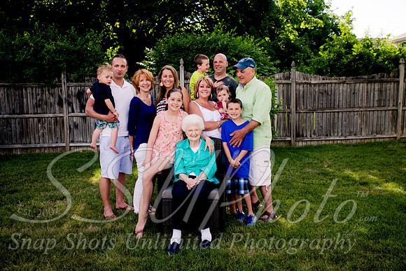 0381family2015