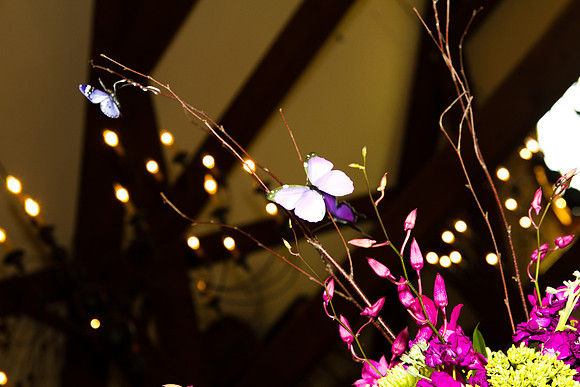1164reception
