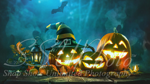 Halloween24