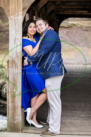 0393Engagement
