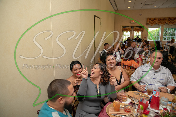 1733Reception