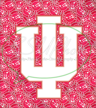 Hoosiers13