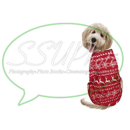 XMASFAMILY0002