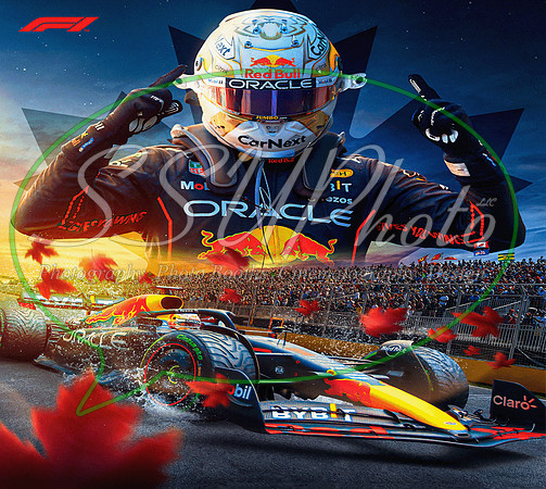 F1racing8