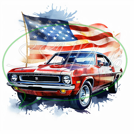 Classic American Car (30)