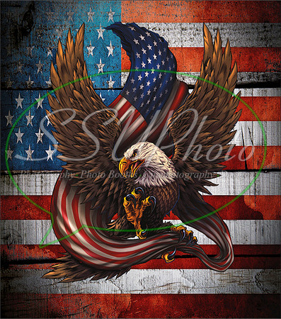 4thofJuly14