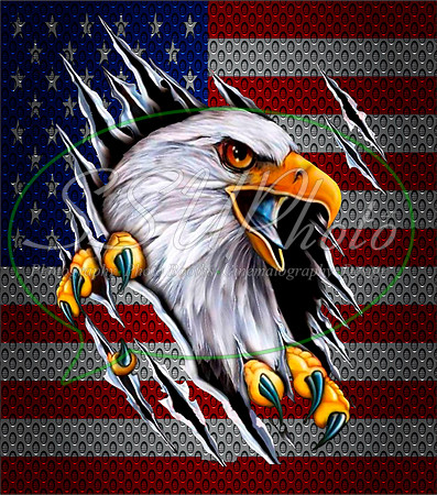 4thofJuly15