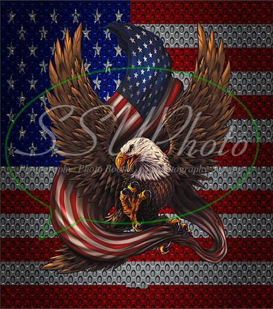 4thofJuly13