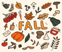 fallpatterns17