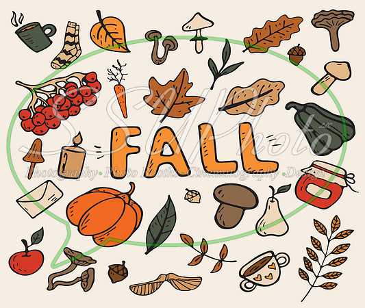 fallpatterns17