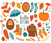 fallpatterns8