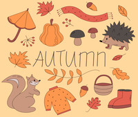 fallpatterns15