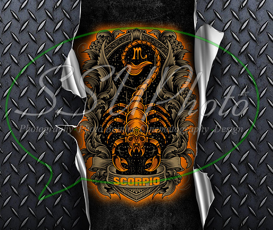 MetalScorpio