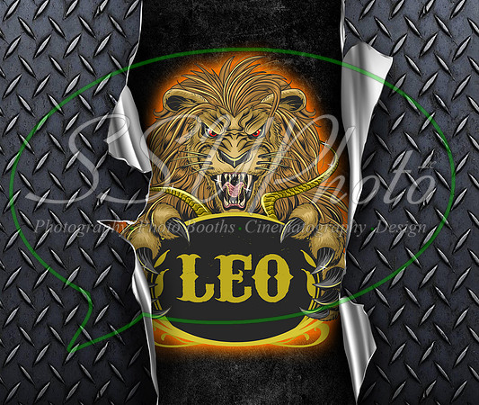MetalLeo