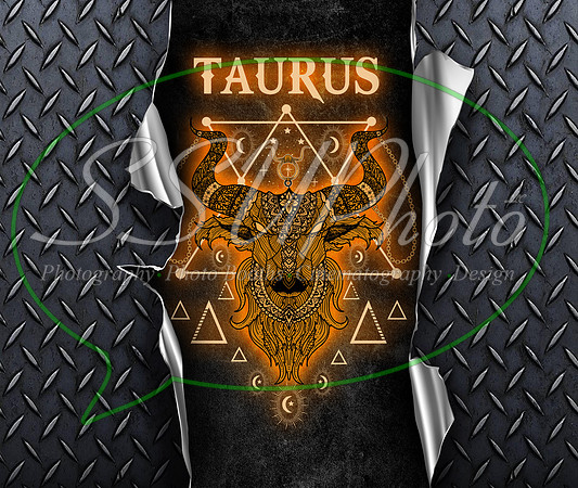 MetalTaurus