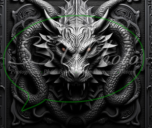 3dDragon14