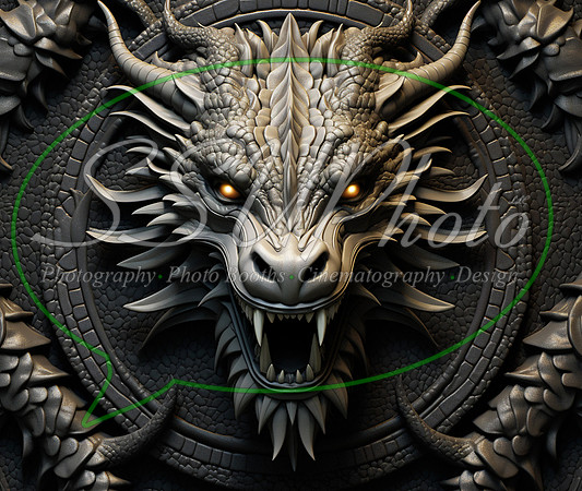 3dDragon13