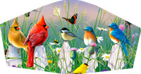 Birds001