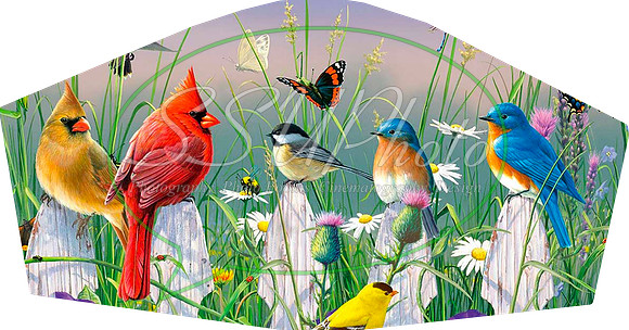 Birds001