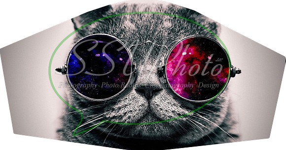 Catface004