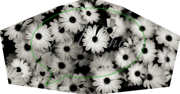 blackdaisy