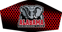 Bamma002