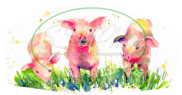 piggies