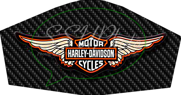 Harley003