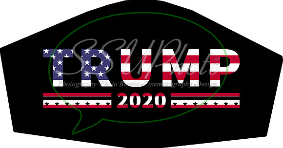 Trump2020006