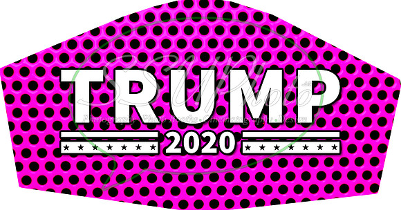 Trump2020002