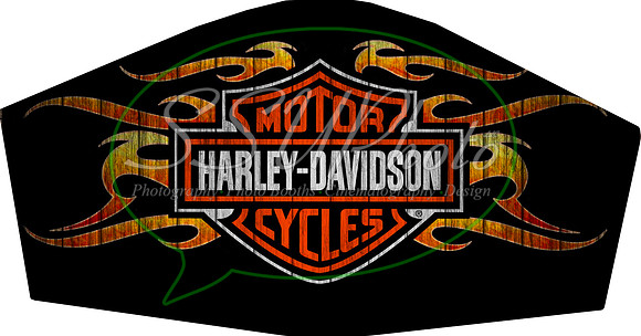 Harley002