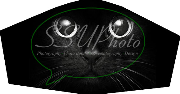 Catface006