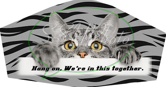 tabbycat002